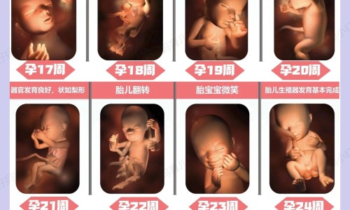 怀孕3个月大便拉出血块正常吗-怀孕3个月拉大便的时候有血-怀孕3个月大便拉出血块正常吗,中国怀孕3个月大便拉出血块网站