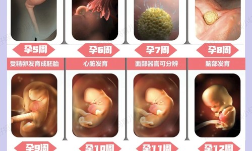 怀孕3个月大便拉出血块正常吗-怀孕3个月拉大便的时候有血-怀孕3个月大便拉出血块正常吗,中国怀孕3个月大便拉出血块网站